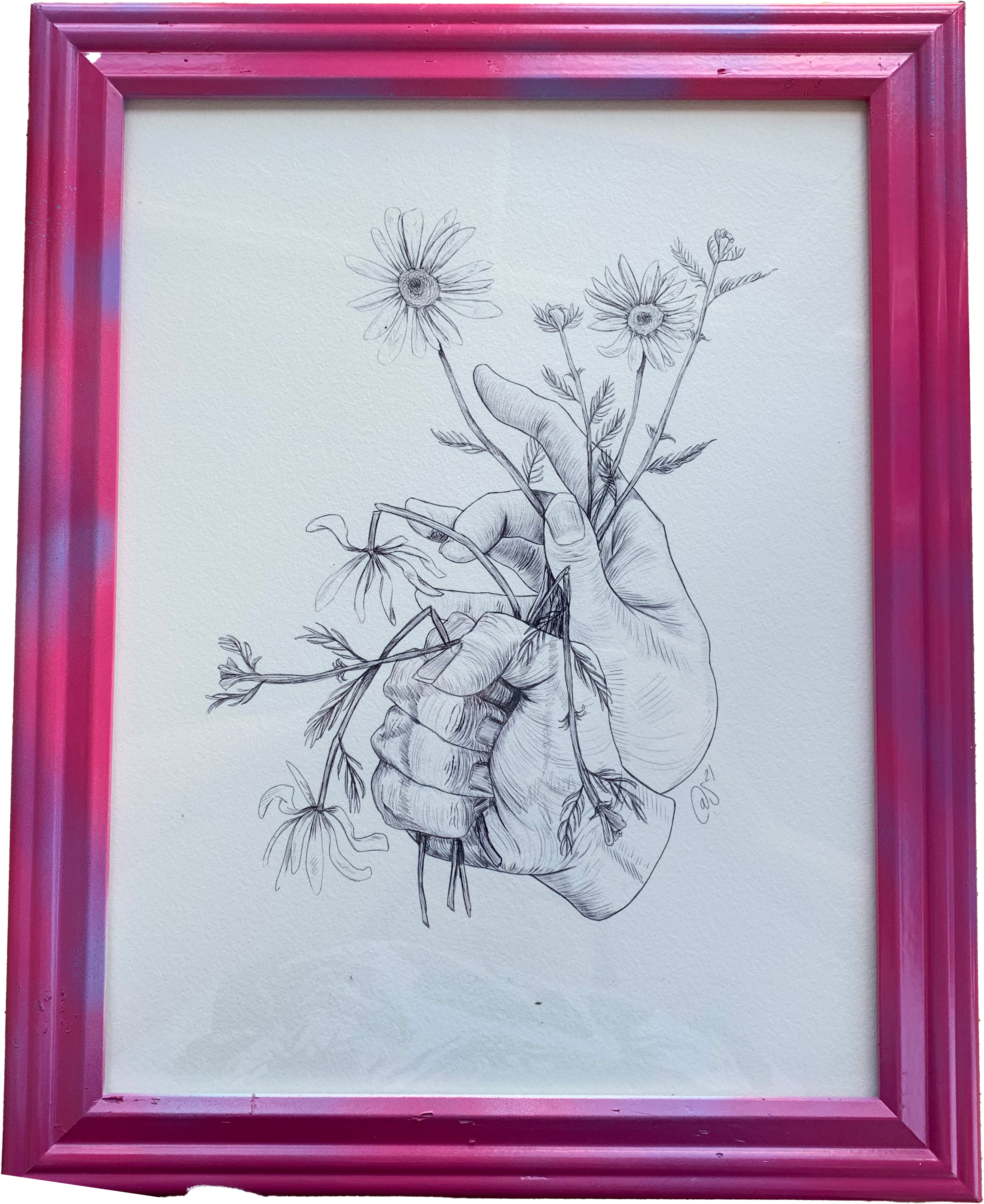 Photo of a framed Illustration of hands crusing daisies