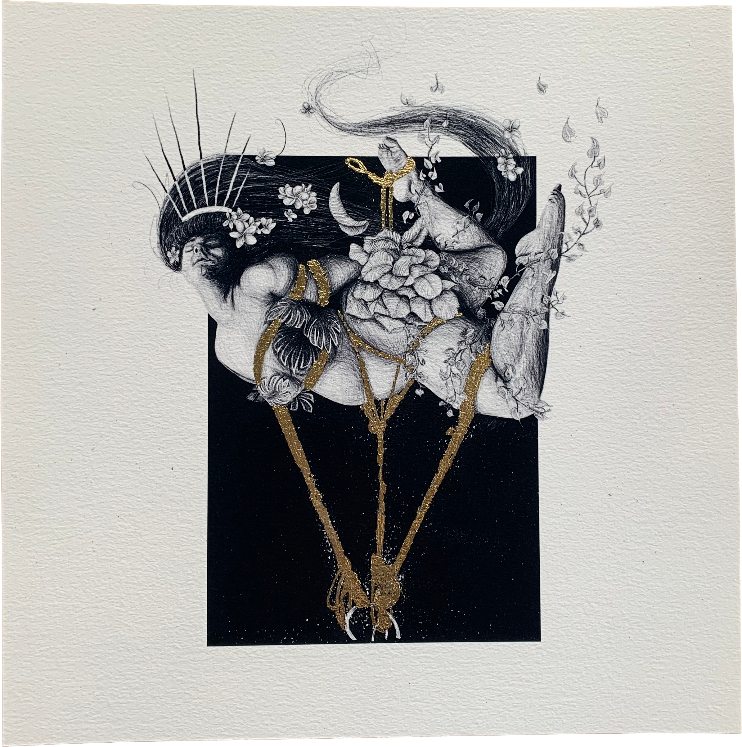 Photo of a framed Mushroom Illustration